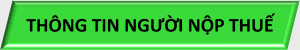 G,s – NST – 1, Thong tin nguoi nop thue