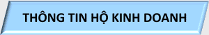 G,s – THKD – 1, Thong tin ho kinh doanh