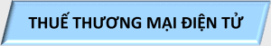 G,s – THKD – 2, Thue thuong mai dien tu