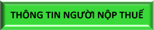 M,s – NST – 1, Thong tin nguoi nop thue