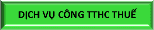 M,s – NST – 2, Cong DVC TTHC Thue