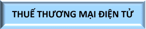 M,s – THKD – 2, Thue thuong mai dien tu